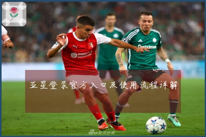 亚星登录官方入口及使用流程详解