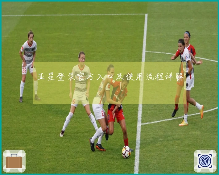 亚星登录官方入口及使用流程详解