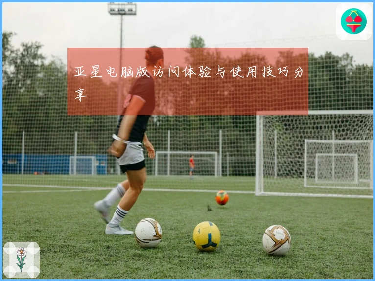 亚星电脑版访问体验与使用技巧分享